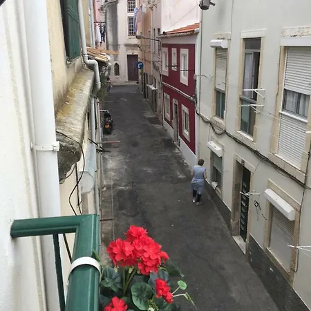 Lejlighed Mural House *