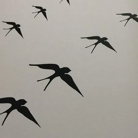 Apartmán Mural House *